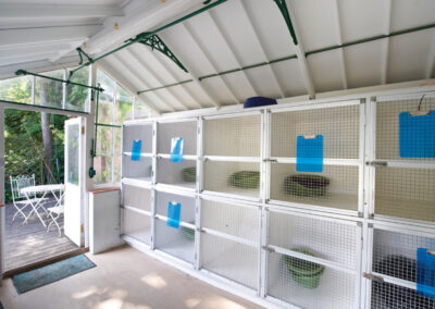 Cat Hospitalisation unit at the Woodlands Resort - Chevening