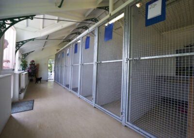 Cattery at Woodlands Resort - Chevening